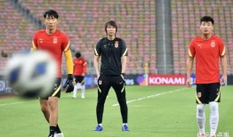 爆料国足主帅被抓视频大全,揭秘背后真相与视频大全