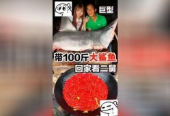 爆料网红吃鲨鱼视频下载,惊悚视频引发网友热议